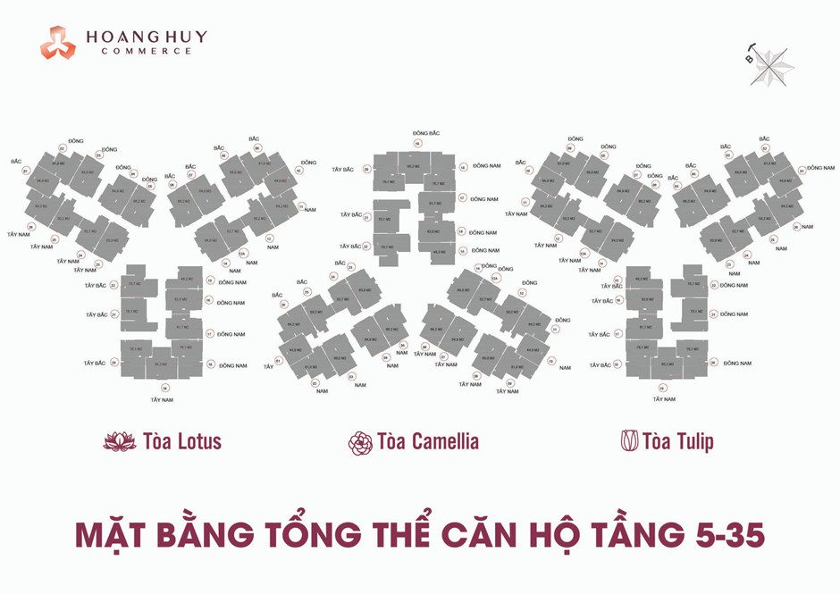 Mat-bang-tong-the-tang-5-35-du-an-chung-cu-Hoang-Huy-Commerce